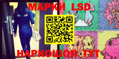 apvp Аша