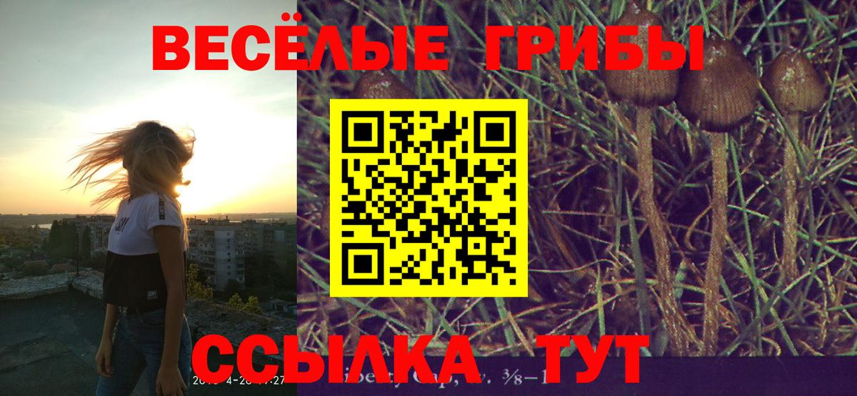 Псилоцибиновые грибы GOLDEN TEACHER Сегежа