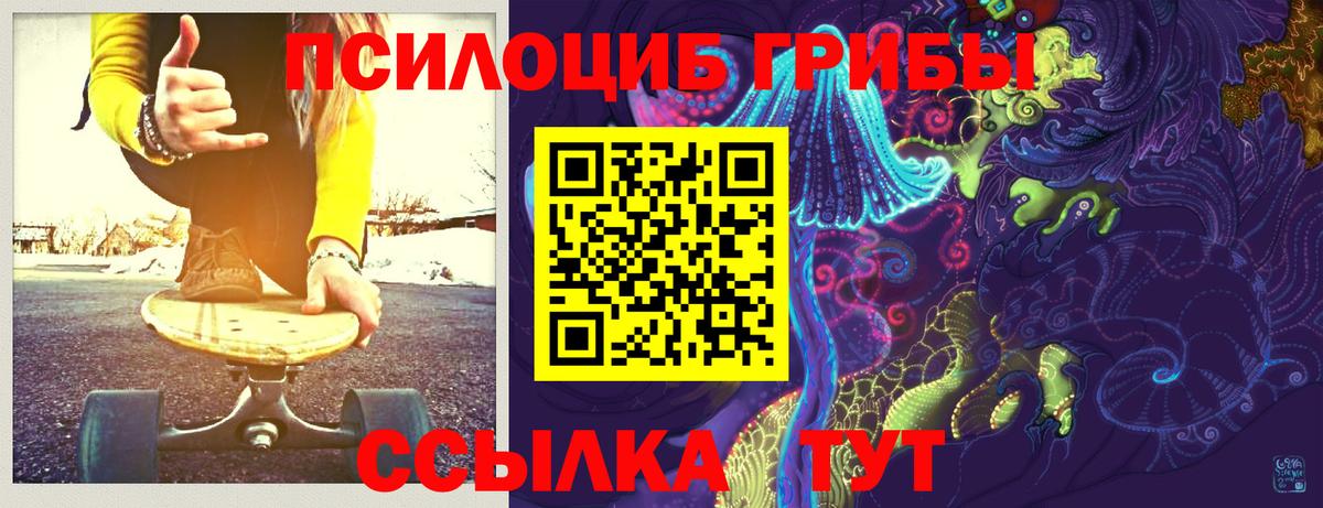 Сегежа  Галлюциногенные грибы Psilocybe  Вход с VPN 